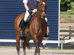 img-00141-524